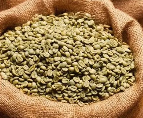 Coffee Sorting